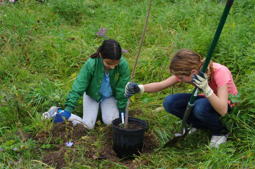 Upper La Platte Tree Planting courtesy Lake Champlain Land Trust