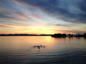 People Swimming in Lake Champlain photo courtesy Lake Champlain Land Trust