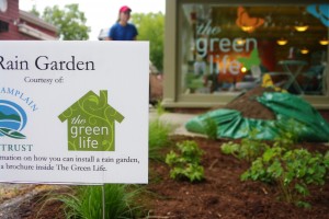 Green Life Rain Garden Aug 17 2012 34