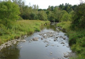 Upper La Platte River Natural Area conserved by the Lake Champlain Land Trust