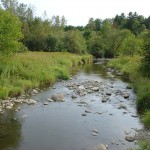 Upper La Platte River Natural Area conserved by the Lake Champlain Land Trust
