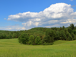 land conservation, forest conservation, easements, conservation easement, land trust, vermont land trust, new york land trust