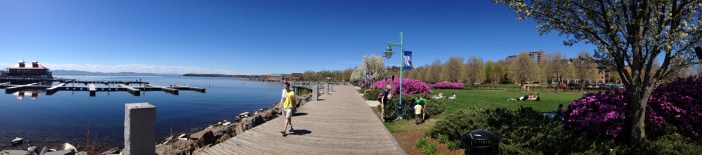 Burlington waterfront in full bloom May 5 2013 Photo by Chris Boget (8) 