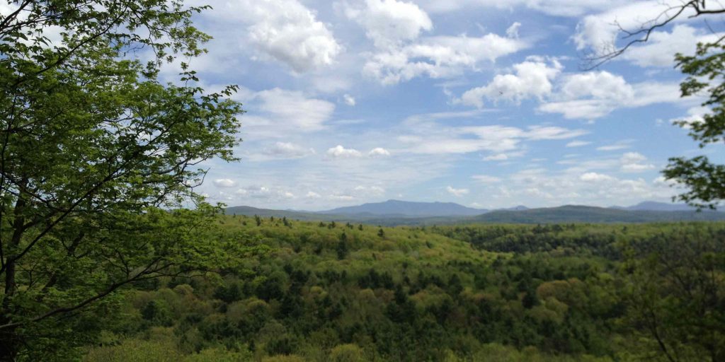 View-of-Mount-Mansfield-from-Niquette_-Kim-Mihan_2014-Web